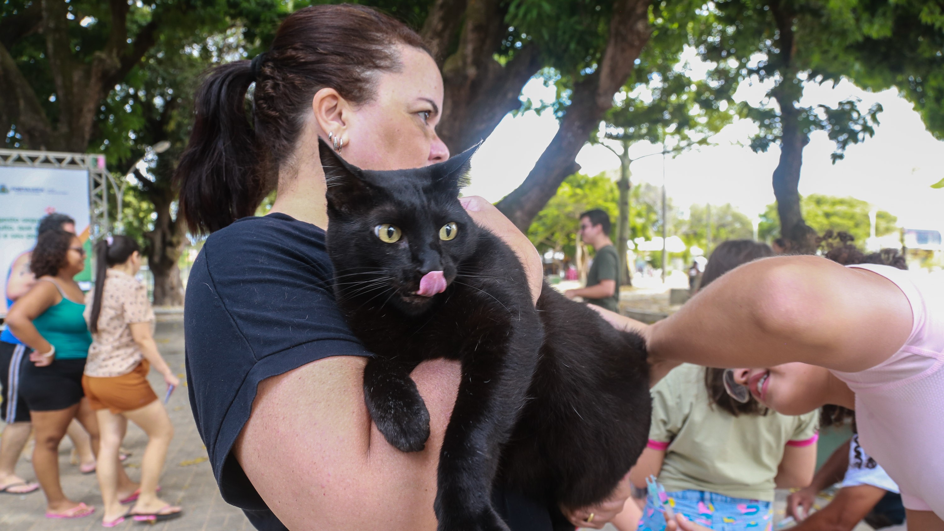 mulher segura gato preto enquanto uma auxiliar de enfermagem aplica a vacina